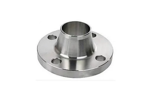 SS 317L Weld Neck Flanges